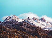 开云体育-WTT首席执行官首谈“刘国梁卸任”与“运动员健康”